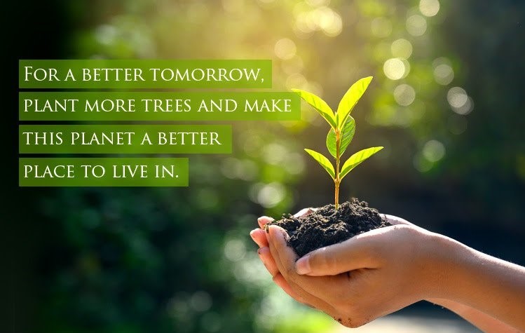 agro-forestry1