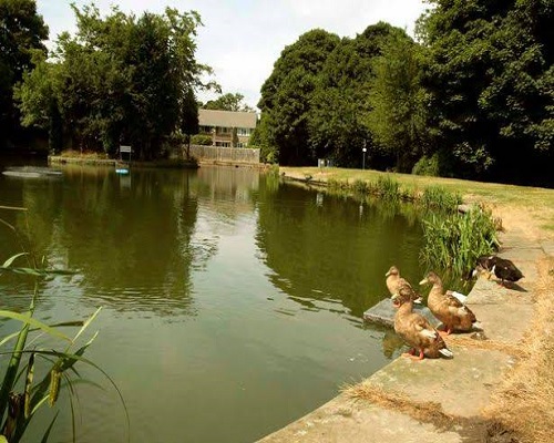 Fishery