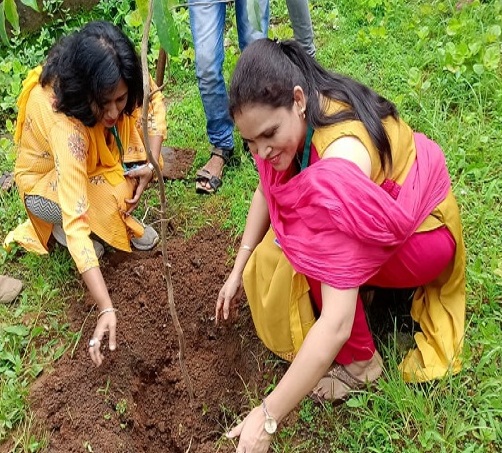 plantation